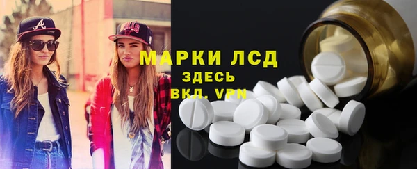 spice Богданович