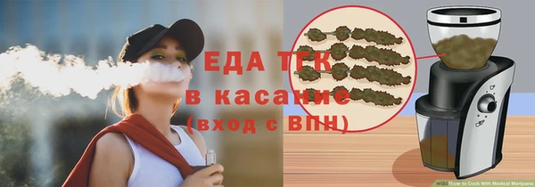 spice Богданович