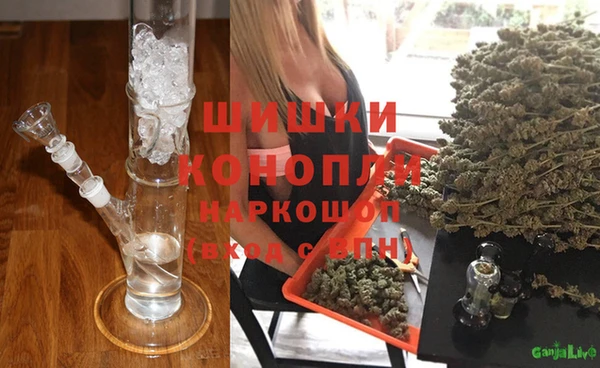 spice Богданович