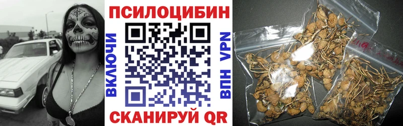 Галлюциногенные грибы мицелий  магазин продажи наркотиков  Ессентуки 